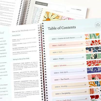 The Bible in a Year: 52-Week Guided Study