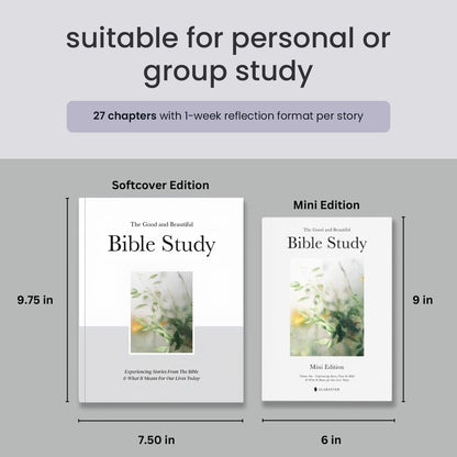 the good & beautiful bible study